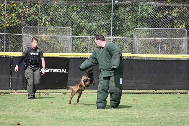 SSPD-k-9-training